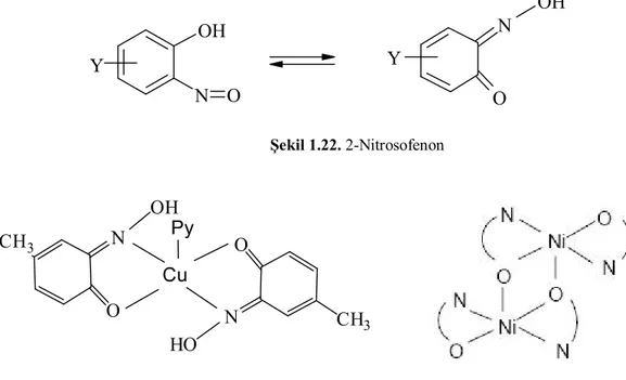 Şekil 1.23. Nitrozofenonların Cu(II) ve Ni(II) kompleksleri 