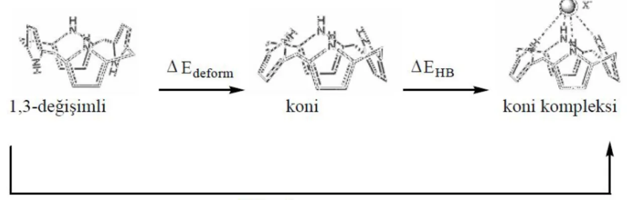 Şekil 1.37. Kaliks[4]pirolün konformasyon değişimleri 