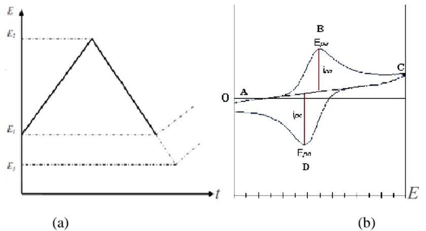 Şekil 5.2 b’de verilen bir dönüşümlü voltamogramda E pc , katodik pik potansiyelini, E pa ,  anodik  pik  potansiyelini,  i pc ,  katodik  pik  akımını  ve  i pa ,  anodik  pik  akımını  göstermektedir