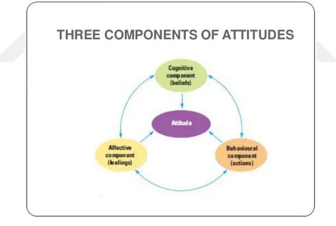 Figure 3. The components of attitude  