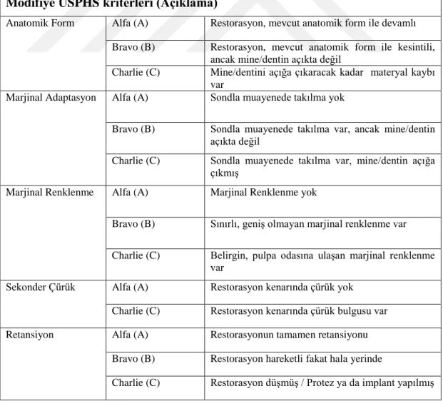 Çizelge 2.1. Klinik değerlendirmede kullanılan USPHS modifiye kriterleri. 