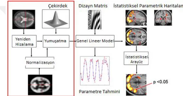 Şekil 2.8. fMRG verisine ait önişleme ve analiz adımları (Kasper, 2009 ) 