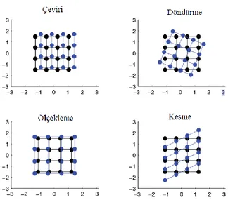 Şekil 2.9. Çeviri, döndürme, ölçekleme ve kesme dönüşüm tekniklerinin belirli bir görüntü üzerindeki  etkisi (Poldrack ve ark., 2011) 