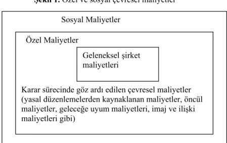 Şekil 1. Özel ve sosyal çevresel maliyetler 