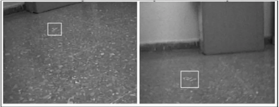 Figure 6. Screenshot of landmark scanning process 3.2. Pre-Processing and Feature Extraction