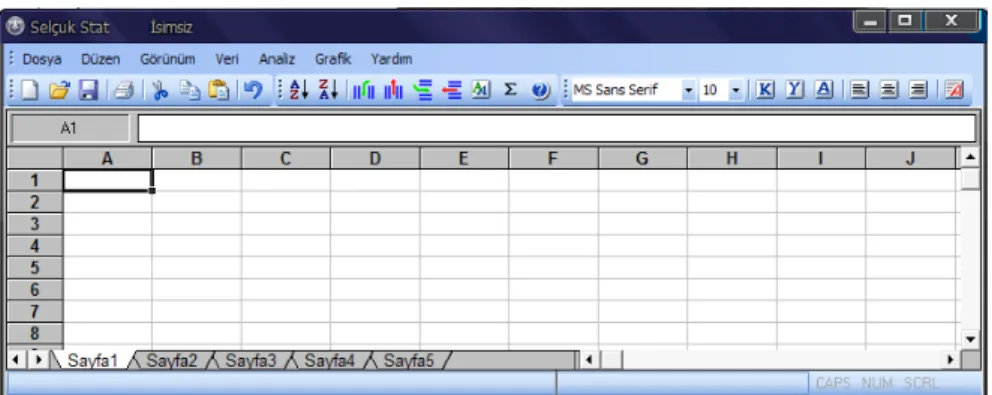 Figure 2.1 Data Entry Screen View