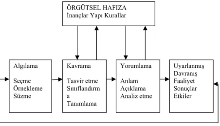 Şekil 5. Örgütsel Zeka Süreci 