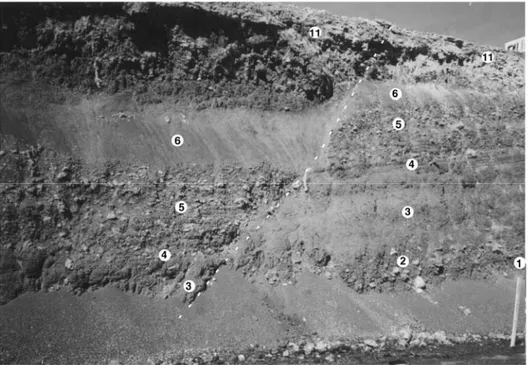 Figure 10. Normal fault (dashed line) exposed in road-cut (see Figure 8 for location) offsets units below 7  for about 2.3 m during event 2