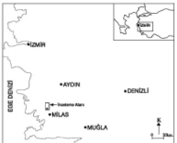 Şekil 1. İnceleme alanõnõ yer bulduru haritasõ. 