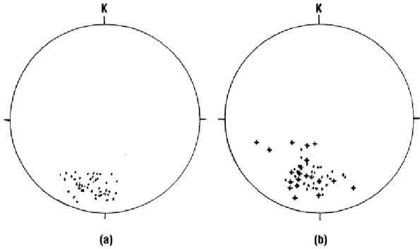 Figure 5. Stereographic equal-area projections for Kõlavuz Metamorphites structural data