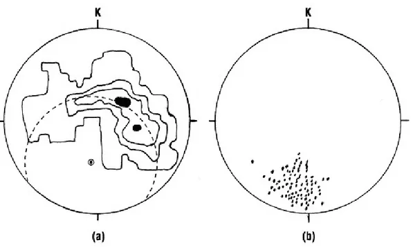 Şekil 7. Beşparmak gözlü gnayslarõndan elde edilmiş doku diyagramlarõ. (a) S 1  ölçümlerinden (n=280)