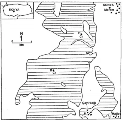 Figure 1. Location map of the Helvacıbaba (H) and Bacağınkoyak Tepe (B) chromite occurrences within  the Meram-Çayırbağı ophiolitic complex (dashed area)