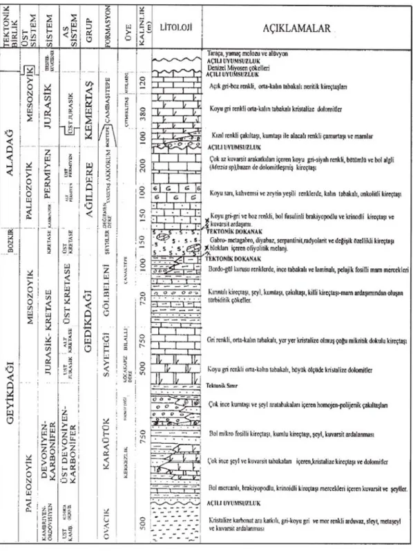 Şekil 2. İnceleme alanının tektono-stratigrafik dikme kesiti. 