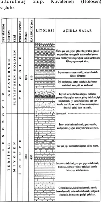 Şekil 2. İnceleme Alanının Stratiğrafik Sütun Kesiti  (Ulu, 1994). 