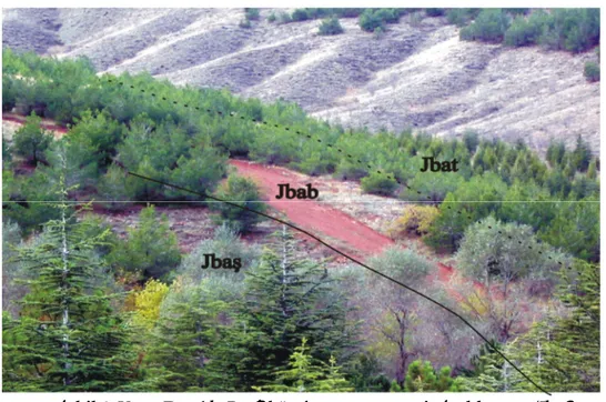 Figure 4. General view of  ehlertepe (Jba ), Beytepe (Jbau) and Turnaçe me (Jbat) Members of the Bay rköy Formation in the Uzun Dere.