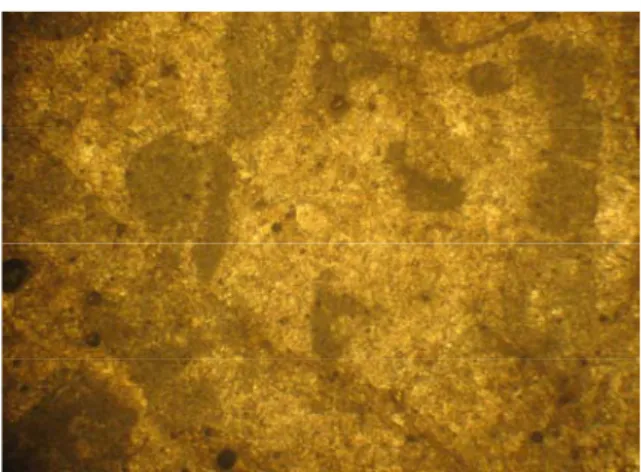 Figure 6a. The secondary calcite filling veins that  intersecting line with each other in the matrix of  