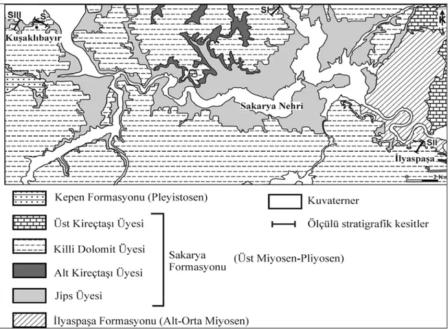 Şekil 2. İnceleme alanının jeoloji haritası (not: Stratigrafik kesitlerin hatları beş kez büyütülmüştür)