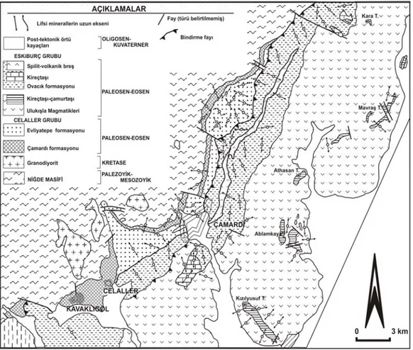 Şekil 8. Lifsi minerallerin uzun eksenlerinin yönelimini gösteren yapısal harita. 