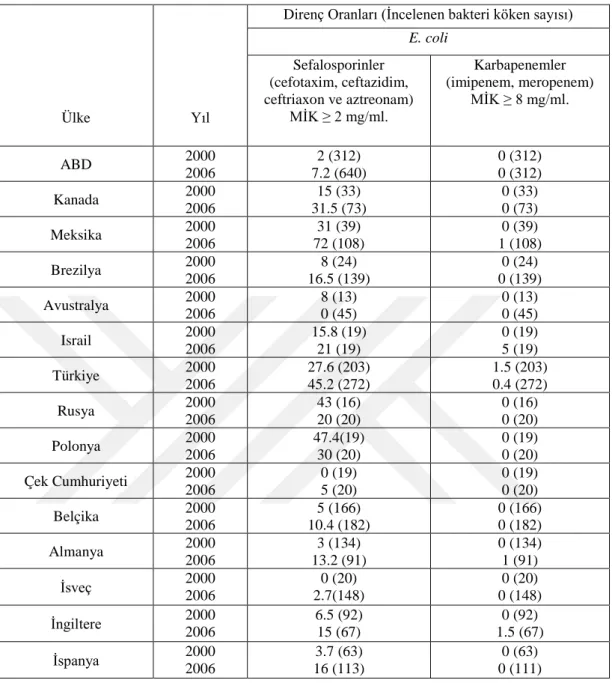 Çizelge 2.3. 2000 –  2006 Yılları Arasında Çeşitli Ülkelerde Belirlenmiş Olan  GSBL (+) E