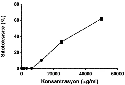 Şekil 4.3. Vero hücreleri üzerine Kitaibelia balansae su ekstraktının XTT yöntemi ile  belirlenen sitotoksik aktivitesi (MNTK: 6250 µg/ml; CC 50 =37817.39 µg/ml)