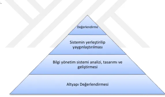 Şekil 1.2. 10 Adımlı Bilgi Yönetimi Modeli (Tiwana Modeli) 