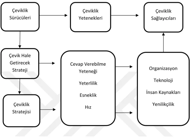 Şekil 2.1. Örgütsel Çeviklik İçin Kavramsal Model 