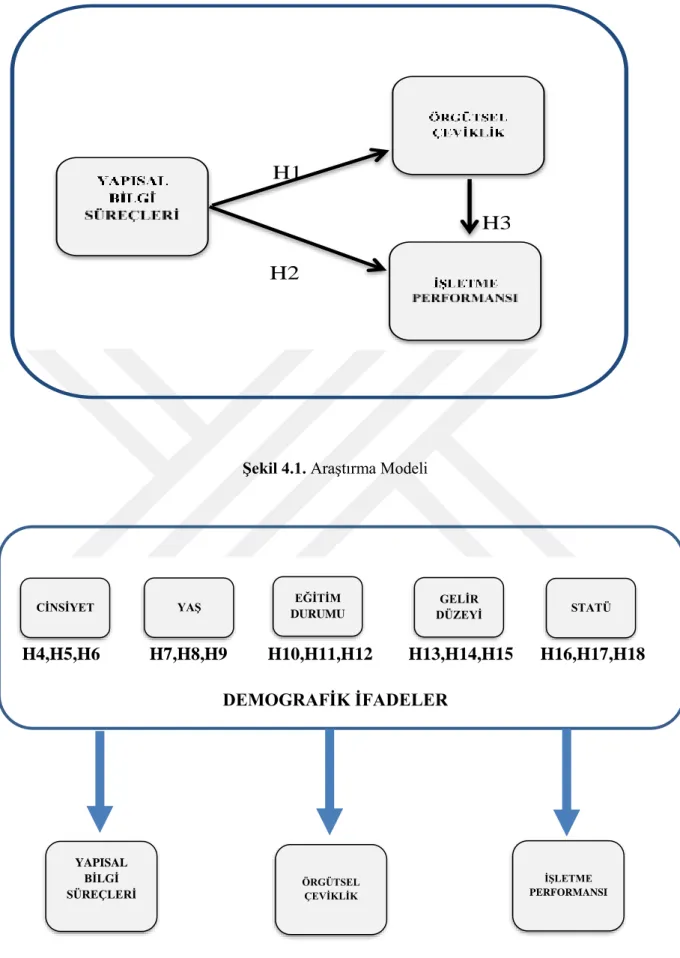 Şekil 4.1. Araştırma Modeli  