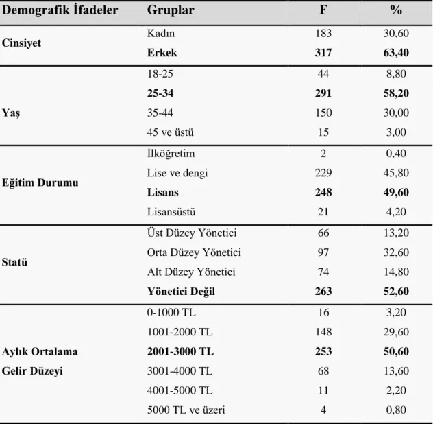 Tablo 4.3. Demografik İfadelerin Analizi