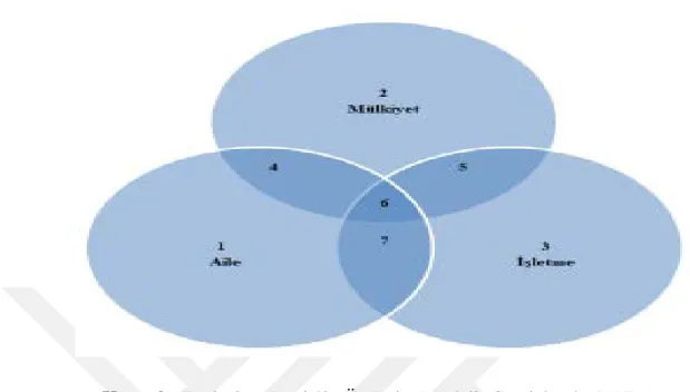 Şekil 1. Üç Daire Modeli 