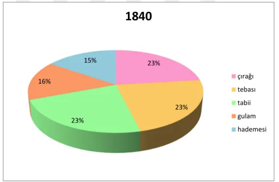 Grafik XI: Kan Bağı Olmayan Hane Bireyleri4 