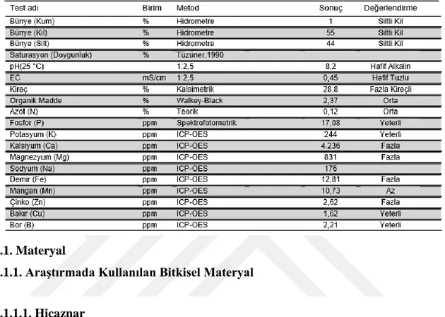 Çizelge 3.1 Bahçe toprak analiz sonuçları 