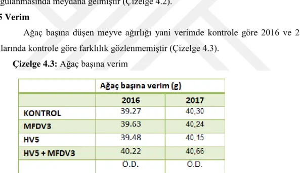 Çizelge 4.3: Ağaç başına verim 