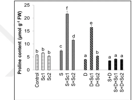 Şekil  4.5.  Tuz  ve/veya  kuraklık  stresi  altındaki  çeltik  yapraklarında  dışarıdan  uygulanan  skandiyumun  yaprak prolin içeriklerinde gözlenen  ortalama  değişimler  (n=3)