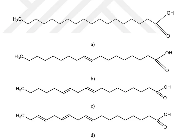 Şekil 2. 1. Yağların bileşiminde bulunan bazı yağ asitleri a) Stearik asit, b) Oleik asit, c) Linoleik asit, d)  Linolenik asit (trans konumlarında verilmiştir) 