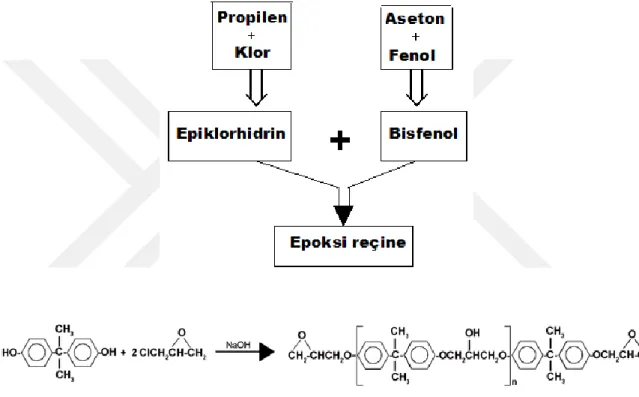 Şekil 1.3. Epoksi reçine sentez şeması ve reaksiyonu