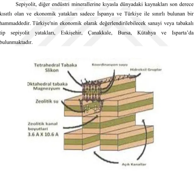 Şekil 1.9. Sepiyolitin yapısı (Burçak ve Yalçın, 2016) 