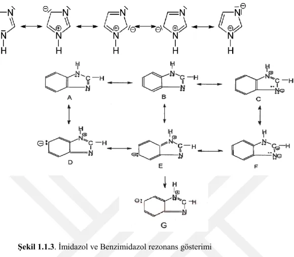 ġekil 1.1.3. İmidazol ve Benzimidazol rezonans gösterimi 