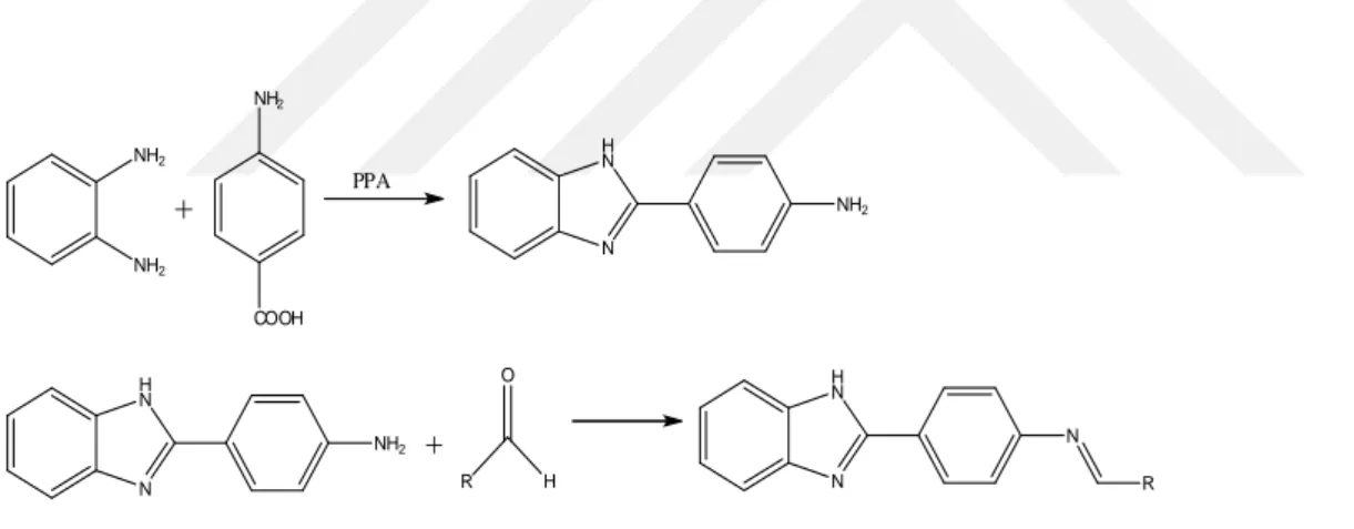 ġekil 1.1.16. Benzimidazol içerikli bileşiklerin çeşitli aldehitler ile reaksiyonu 