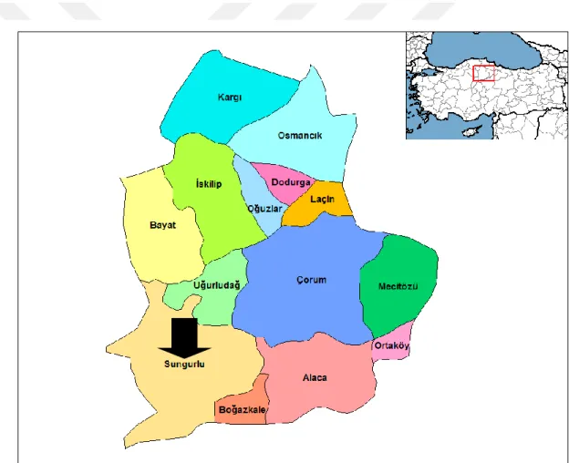 Şekil 3.1. Çorum ili ve ilçeleri haritası 