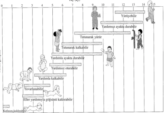 Grafik 1. Aylara Göre Motor Gelişim 