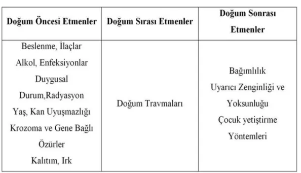 Tablo 2. Psikomotor Gelişimi Etkileyen Etmenler