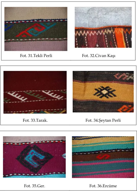 Fot. 31.Tekli Perli  Fot. 32.Civan Kaşı 