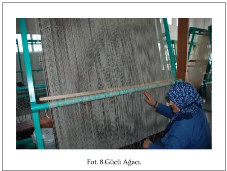 Fot. 8.Gücü Ağacı.