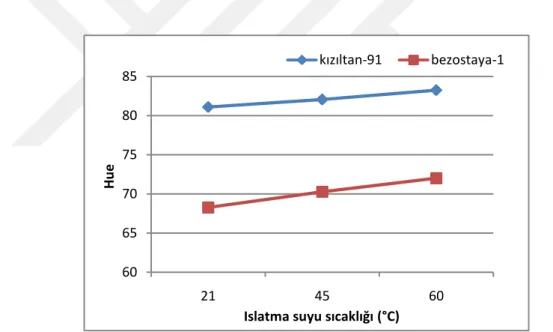 Şekil 4.3. Islatılmış buğdayların Hue değeri üzerine etkili “Buğday çeşidi x ıslatma suyu  sıcaklığı” interaksiyonu 