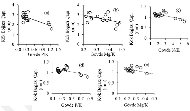 Şekil 4.2. Yalancı akasya (a, b) ve karaçamda (c, d, e) N/K, P/K ve Mg/K oranları ile kök boğazı çapı   arasındaki ilişkiler 