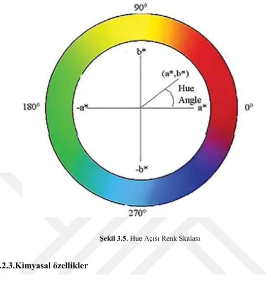 Şekil 3.5. Hue Açısı Renk Skalası 