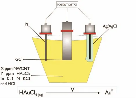 Figure 3.1. Schematic diagram of electrochemical cell used for surface modification process