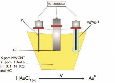 Figure 3.1. Schematic diagram of electrochemical cell used for surface modification process