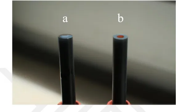 Figure 3.2. The images of the bare (a) and modified (b) GC electrode surfaces
