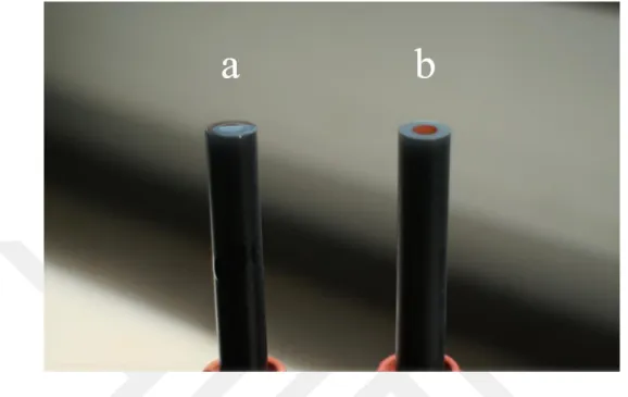 Figure 3.2. The images of the bare (a) and modified (b) GC electrode surfaces